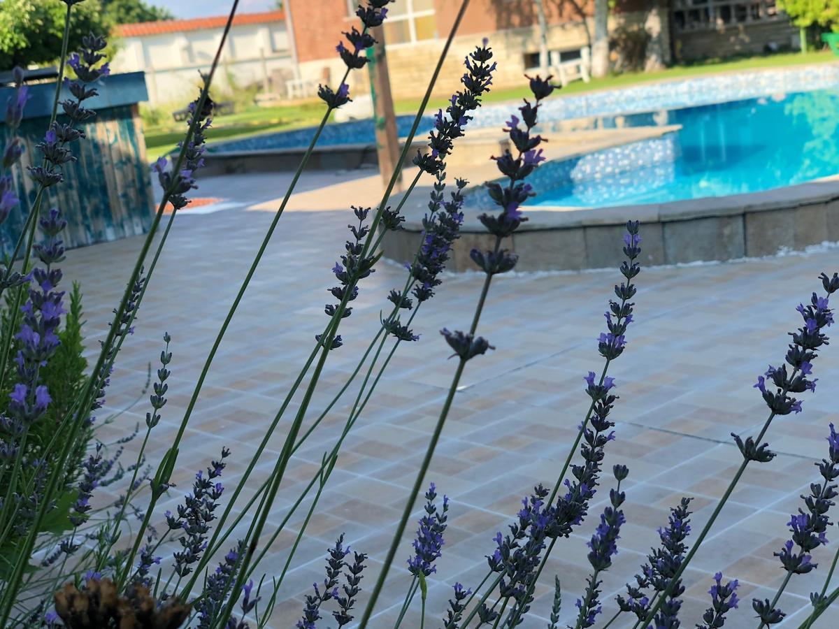 Hotel Galeria In The Garden Płowdiw Zewnętrze zdjęcie